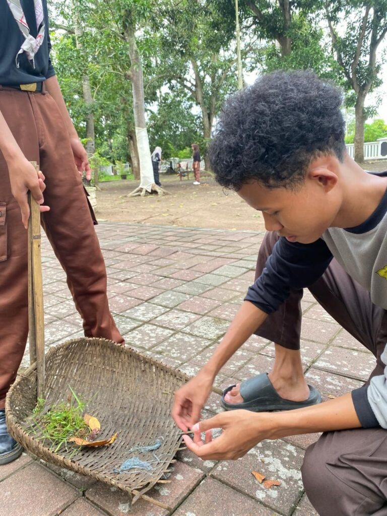 img 20260213 wa00286519505893317906658