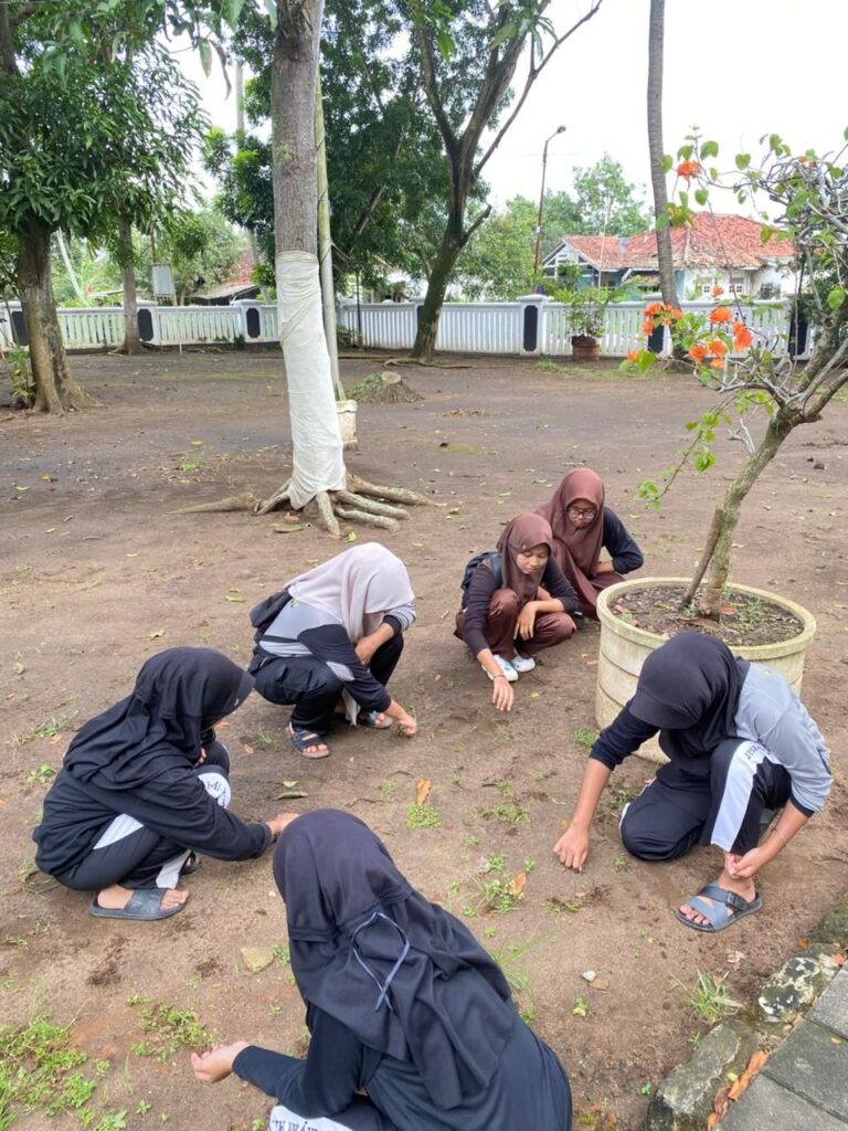 img 20260213 wa00372439795994876837652