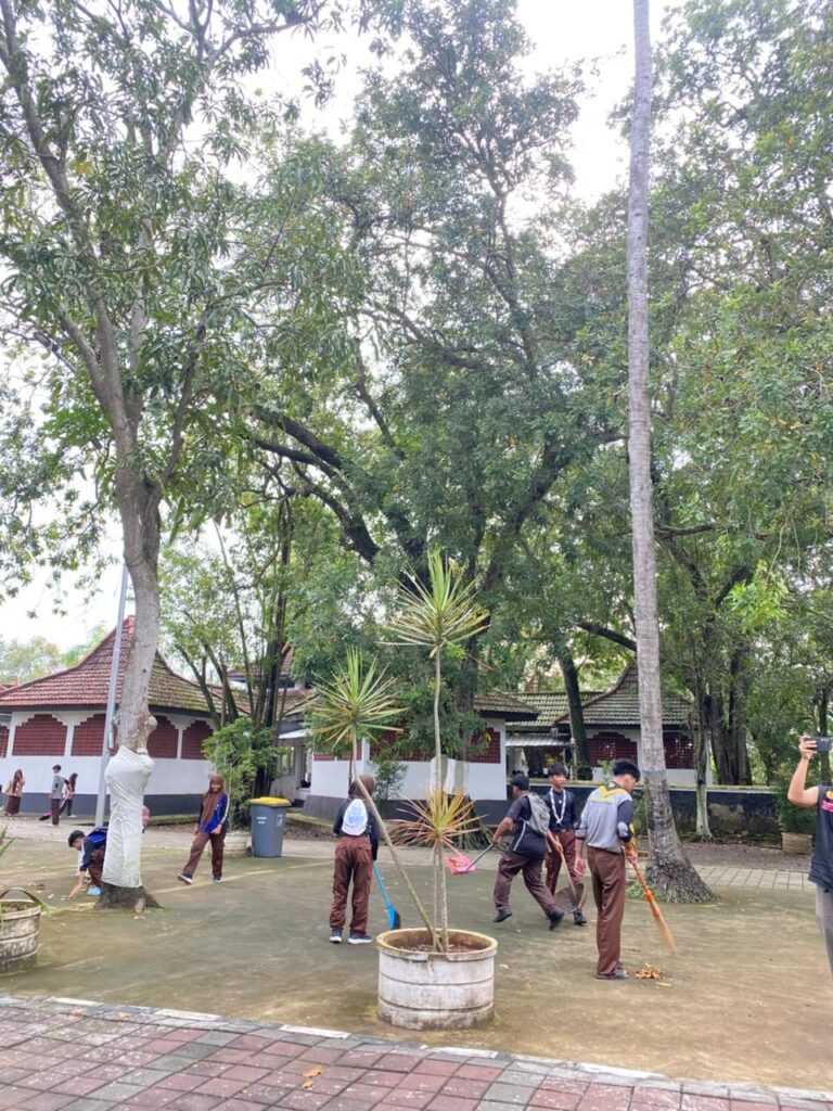 img 20260213 wa00466672121021011090382