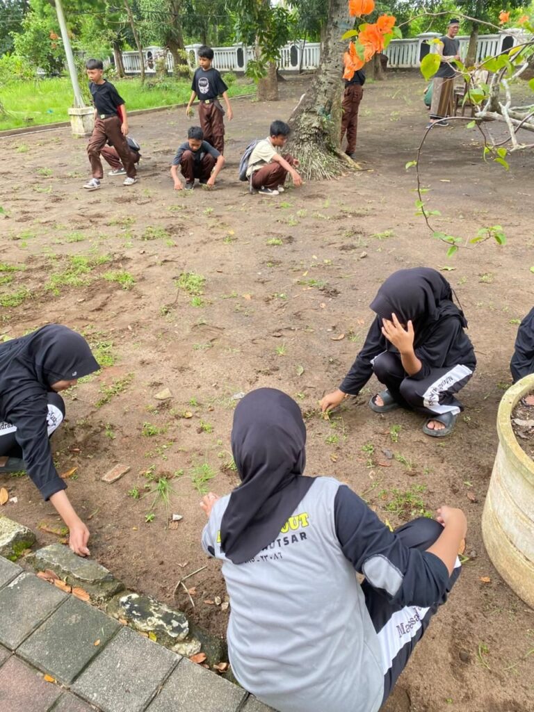 img 20260213 wa00519084144779148980255