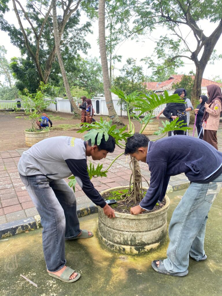 img 20260213 wa00656119521221451300873